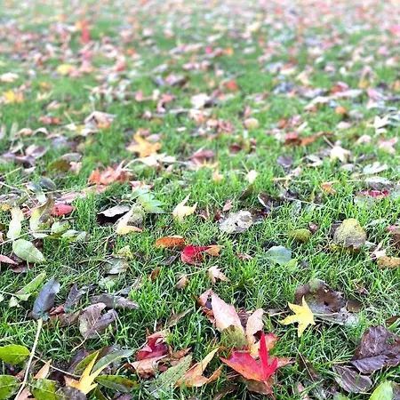 Feriehus Boshuisje Plaszicht - Nature Calls Reeuwijk