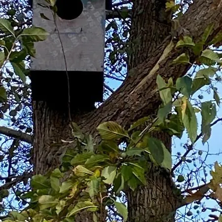 Boshuisje Plaszicht - Nature Calls Feriehus *