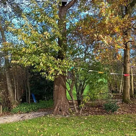 Boshuisje Plaszicht - Nature Calls Feriehus *