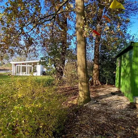 Boshuisje Plaszicht - Nature Calls Feriehus