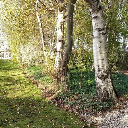 Feriehus Boshuisje Plaszicht - Nature Calls
