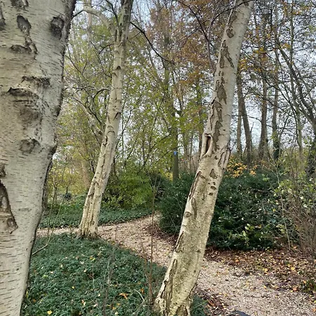 Boshuisje Plaszicht - Nature Calls Reeuwijk