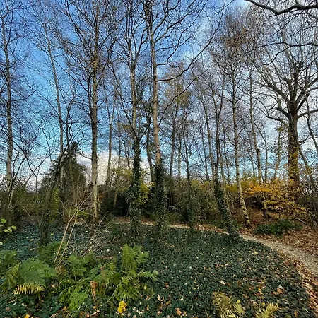 Boshuisje Plaszicht - Nature Calls Feriehus